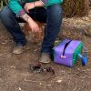 Dust & Iron PVC Gear Bag – Purple & Green with Blue Handles