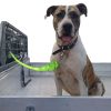 Heavy Duty Panic Quick Release Ute Lead – 61cm Dog Safety Tie. Dog sitting on the back of a ute tied up.
