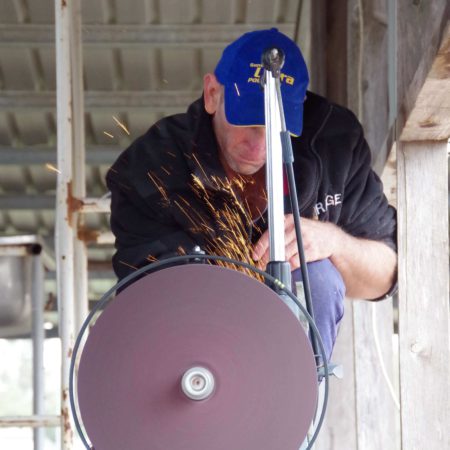 Shearer using a shearing grinder to sharpen combs and cutters – sparks flying from the grinding wheel in a woolshed.