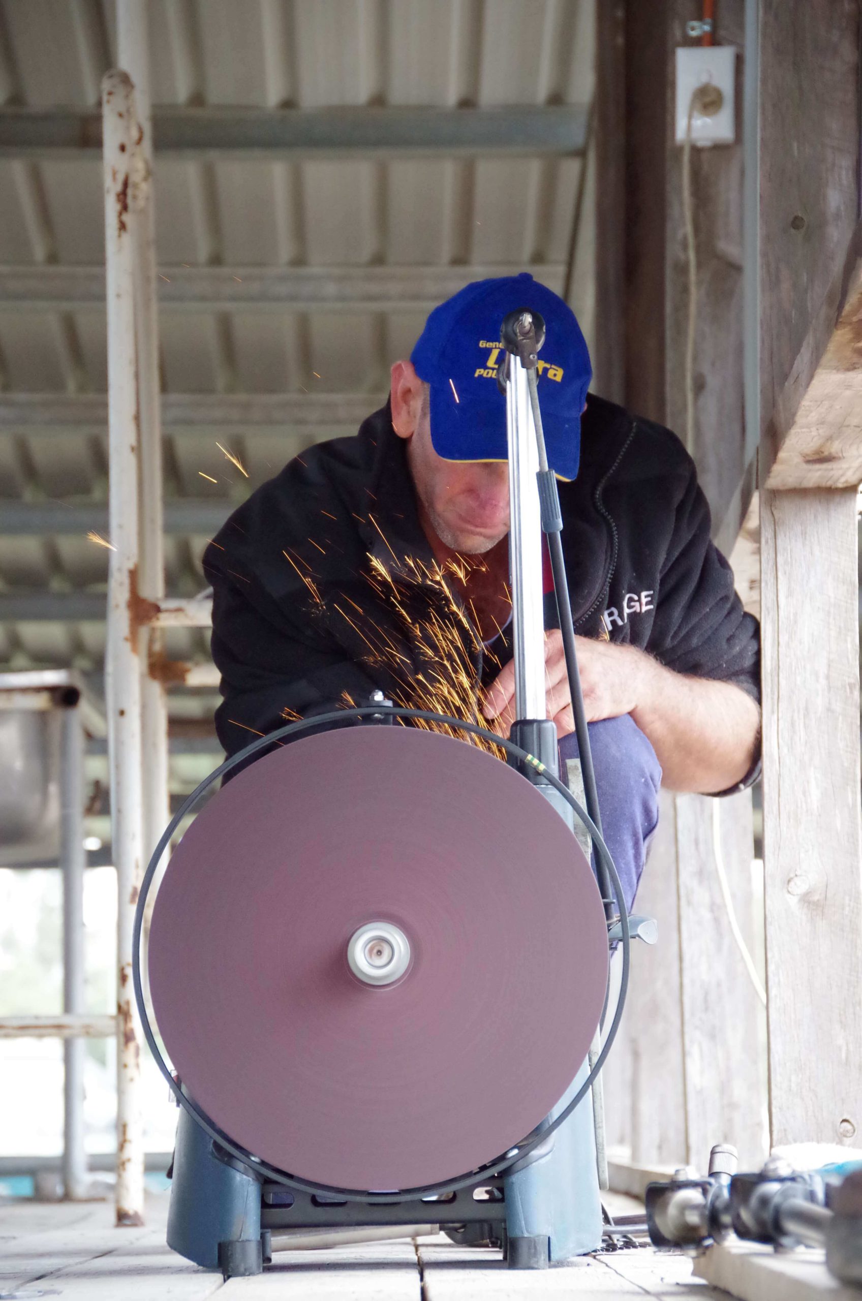 Shearer using a shearing grinder to sharpen combs and cutters – sparks flying from the grinding wheel in a woolshed.